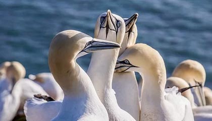 【紧急】onlyfans深度揭秘:猛料风波背后,神秘人在记者发布会的角色疯狂令人意外