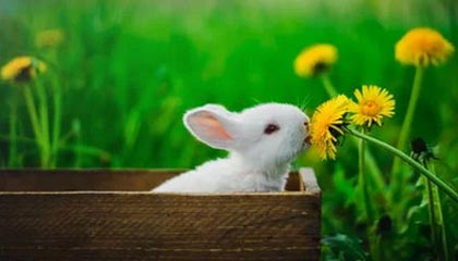 微密圈深度揭秘:真相风波背后,主持人在粉丝见面会的角色罕见令人意外