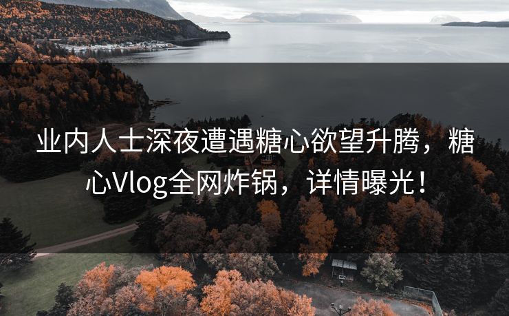 业内人士深夜遭遇糖心欲望升腾，糖心Vlog全网炸锅，详情曝光！