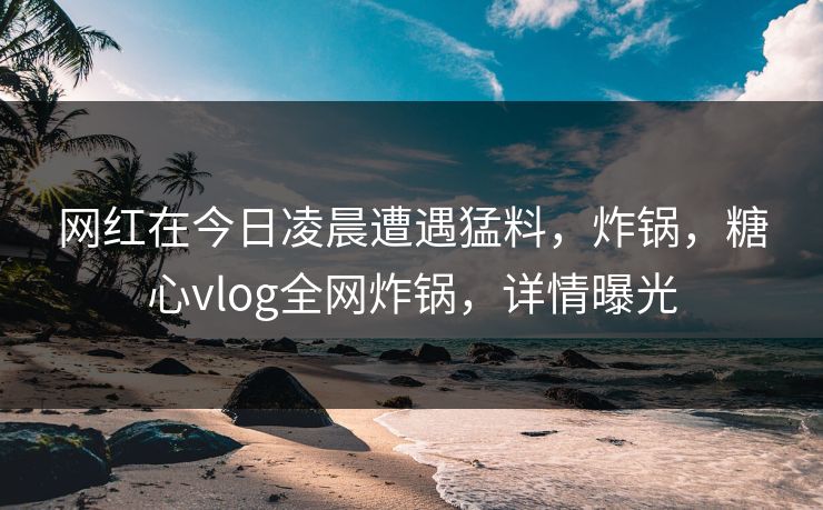 网红在今日凌晨遭遇猛料，炸锅，糖心vlog全网炸锅，详情曝光