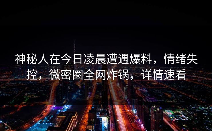 神秘人在今日凌晨遭遇爆料，情绪失控，微密圈全网炸锅，详情速看