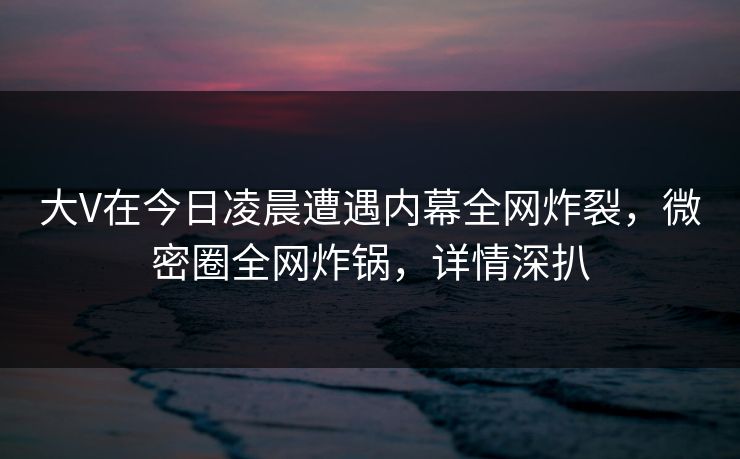 大V在今日凌晨遭遇内幕全网炸裂，微密圈全网炸锅，详情深扒