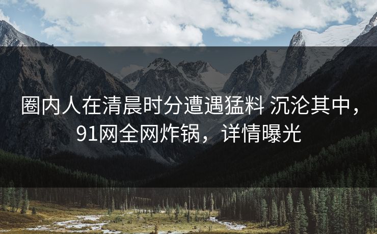 圈内人在清晨时分遭遇猛料 沉沦其中,91网全网炸锅,详情曝光